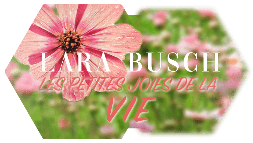 Logo Lara Busch Blumenfoto im Hintergrund