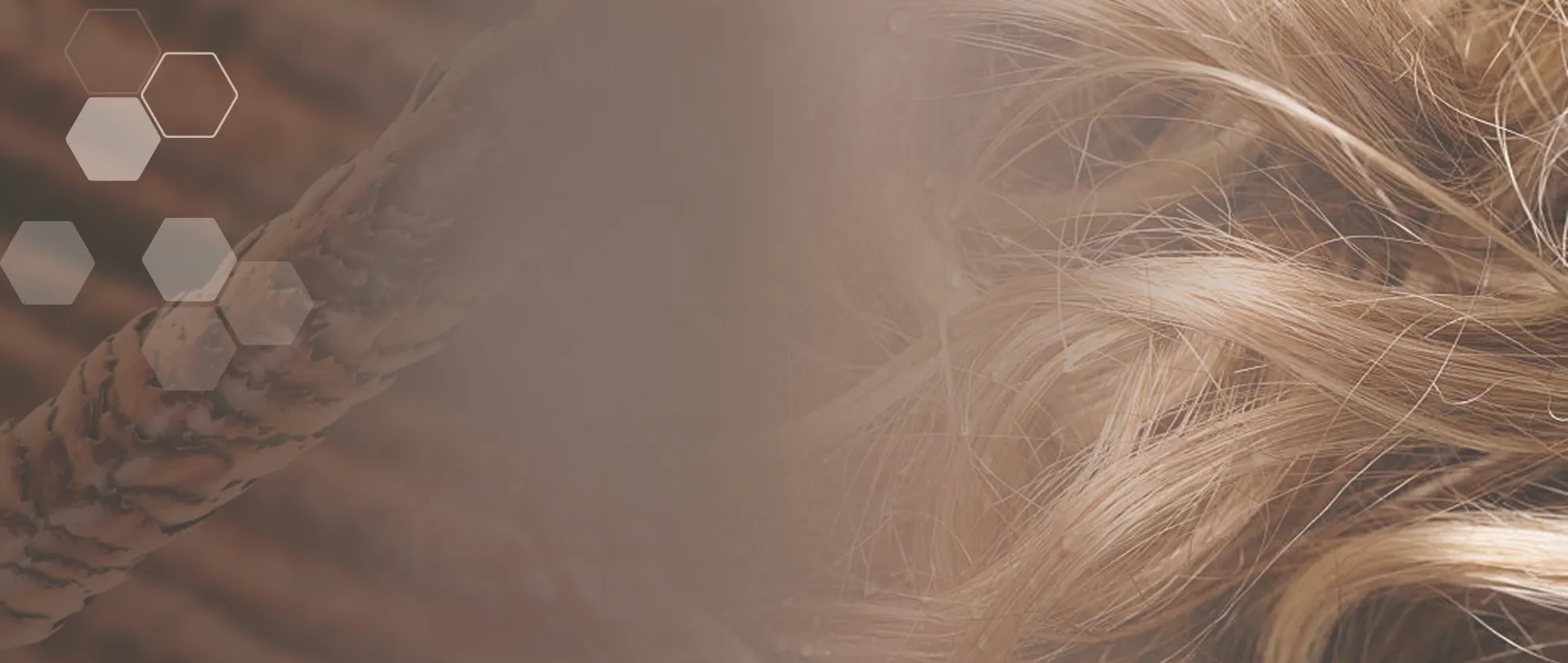 Bannerbild Haare
