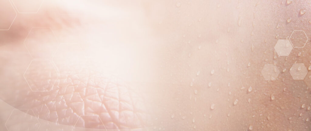 Banner Haut