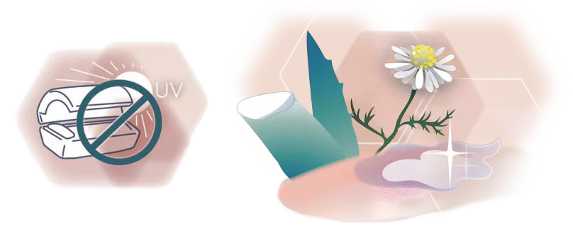 Icons mit einem durchgestrichener Sonnenbank und einer Aloe 
